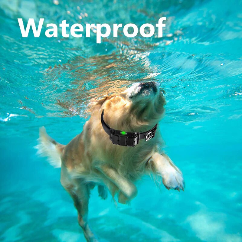 Ogrlica za dresuru pasa - domet 800m