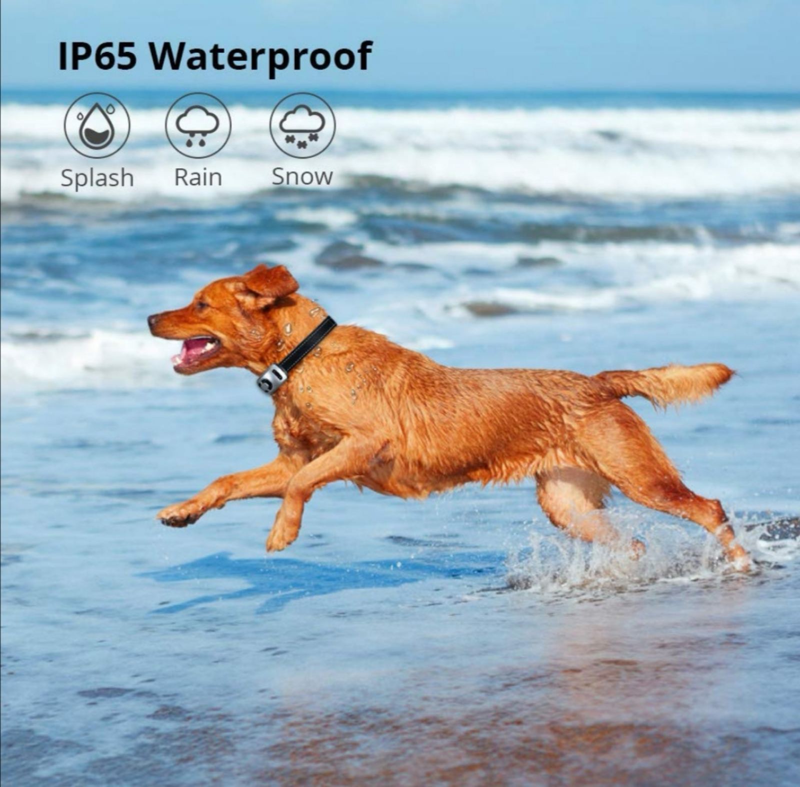 Ogrlica za pse protiv lajanja