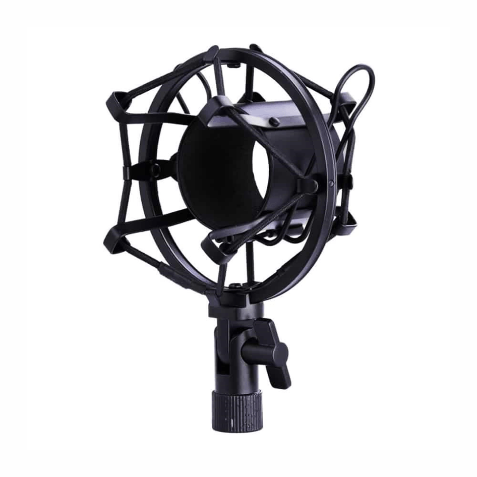 Profesionalni mikrofon Andowl 7451