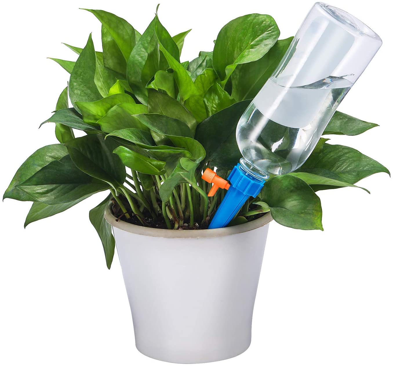 Sistem za zalivanje saksijskog cveća kap po kap