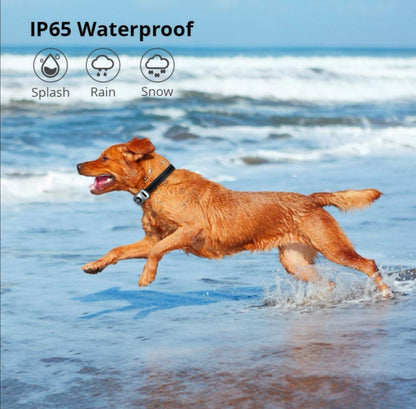 Ogrlica za pse protiv lajanja